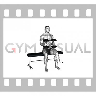 Dumbbell Seated External Rotation (male)