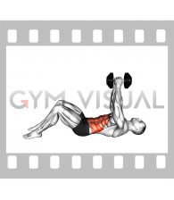 Dumbbell Straight Arm Crunch (VERSION 2)