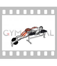 Dumbbell Reverse Hyperextension on Bench