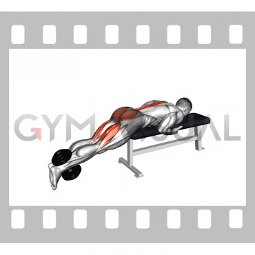 Reverse hyperextension on outlet bench