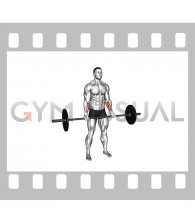 Barbell Standing Wrist Curl