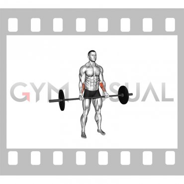 Barbell Standing Wrist Curl