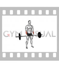 Barbell Standing Wrist Reverse Curl