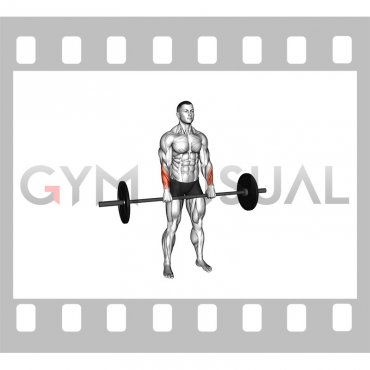 Barbell Standing Wrist Reverse Curl