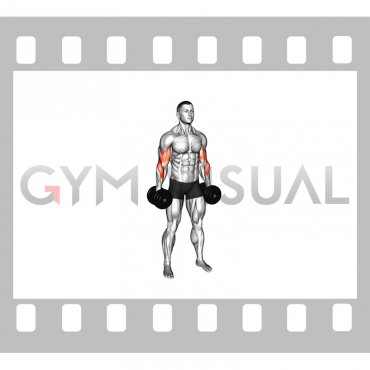 Dumbbell Standing Alternate Reverse Curl