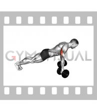 Dumbbell Reverse Push-up