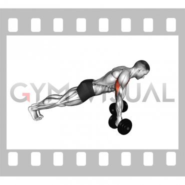 Dumbbell Reverse Push-up