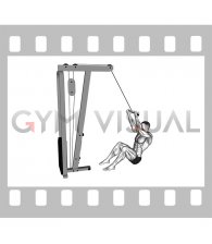 Cable Seated Overhead Curl (SZ Bar)
