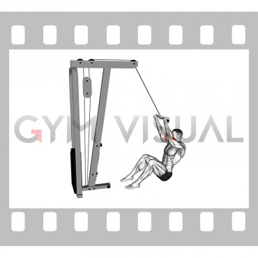 Cable Seated Overhead Curl (SZ Bar)