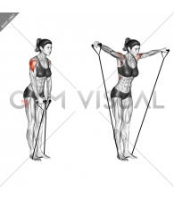 Band lateral raise