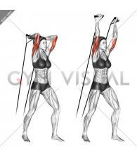 Band overhead triceps extension