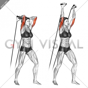 Band overhead triceps extension