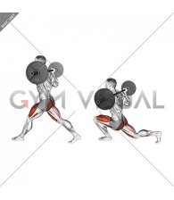 Barbell Low Split Squat (male)