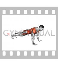 Plank Thigh Tap (male)