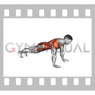 Plank Thigh Tap (male)