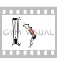 Cable Standing Lat Pulldown