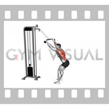 Cable Standing Lat Pulldown