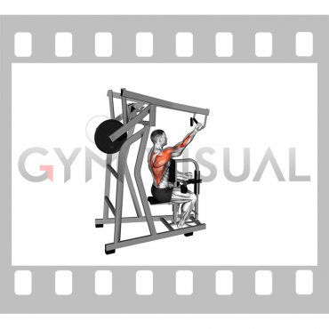 Lever Single Arm Reverse Grip High Row (plate loaded)