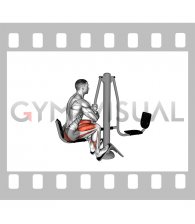 Lever Outdoor Seated Leg Press
