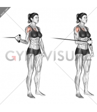 Band standing internal shoulder rotation