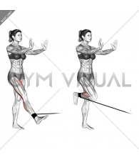 Band standing leg curl