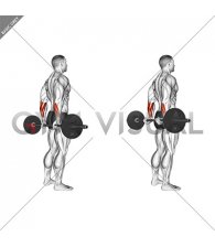 Barbell Standing Back Wrist Curl