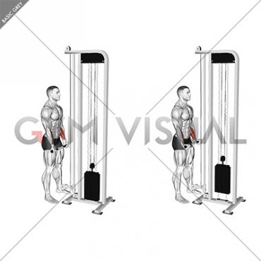 Cable Standing Wrist Curl