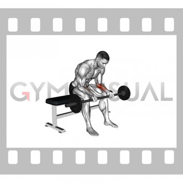 Barbell Wrist Curl (VERSION 2)