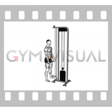 Cable Standing Wrist Curl