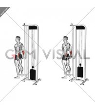 Cable Standing Back Wrist Curl