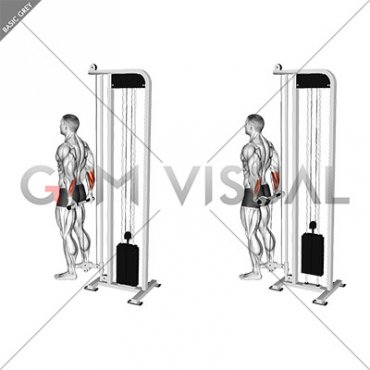 Cable Standing Back Wrist Curl