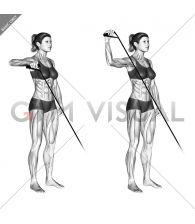 Band Upright Shoulder External Rotation