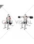 Dumbbell Seated Lateral Raise (version 2)