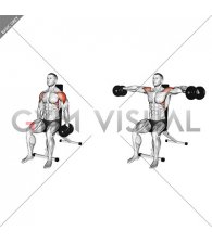 Dumbbell Seated Lateral Raise (version 2)