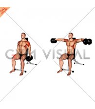 Dumbbell Seated Lateral Raise (version 2)