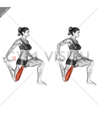 Quadriceps stretch