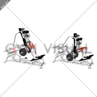 Lever Squat (plate loaded) (female)