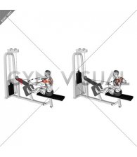 Cable Rear Delt Row (parallel bar)