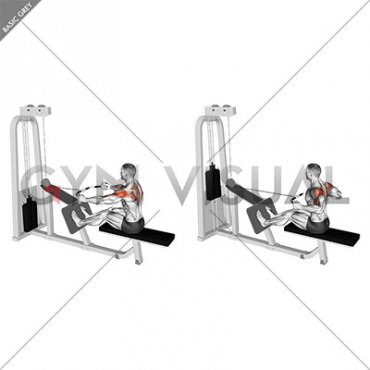 Cable Rear Delt Row (parallel bar)