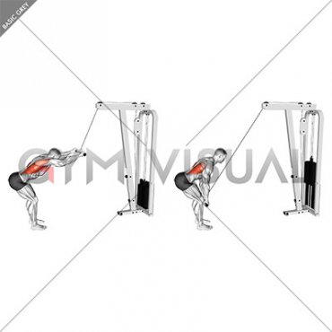 Cable Straight Arm Pulldown (VERSION 2)