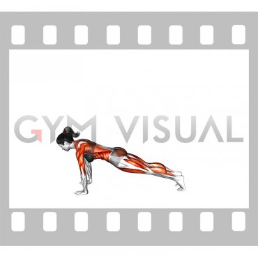 Downward Dog Leg Raise (female)