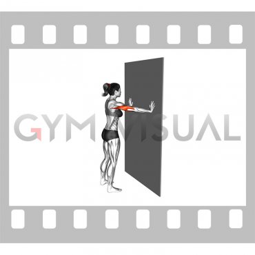 Wide Push-up (wall) (female)