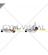 Resistance Band Reverse Crunch (male)