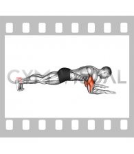 Bodyweight Triceps Extension from Plank Position (male)