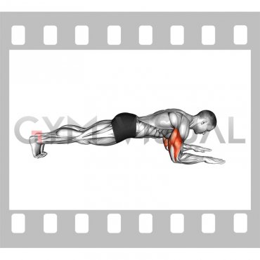 Bodyweight Triceps Extension from Plank Position (male)