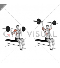 Barbell Seated Behind Head Military Press