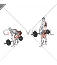 Barbell Romanian Deadlift