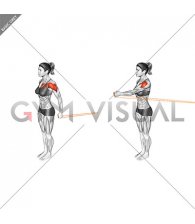 Resistance Band Standing Single Arm Shoulder Flexion (female)