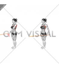 Resistance Band Standing Single Arm Lateral Shoulder Extension (female)