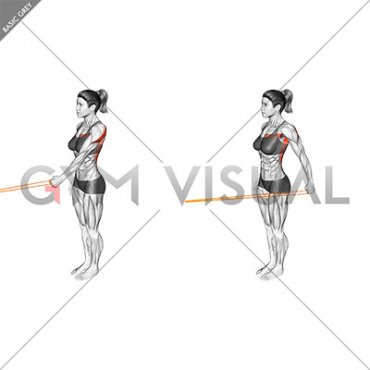 Resistance Band Standing Single Arm Lateral Shoulder Extension (female)